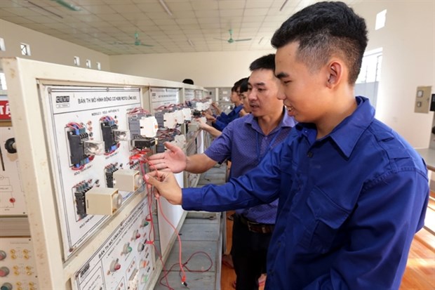 International vocational training to be extended across country hinh anh 1