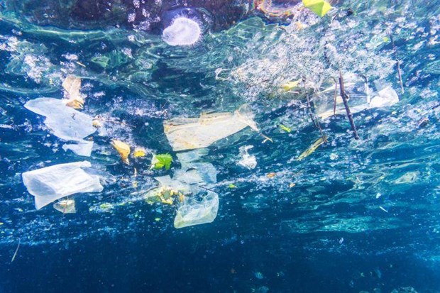Malaysia is top plastic ocean polluter in Asia: WWF hinh anh 1