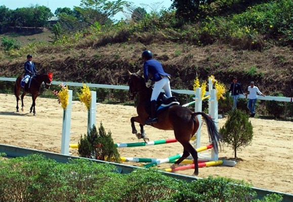 Olympic horse riding club opens in Lam Dong hinh anh 1