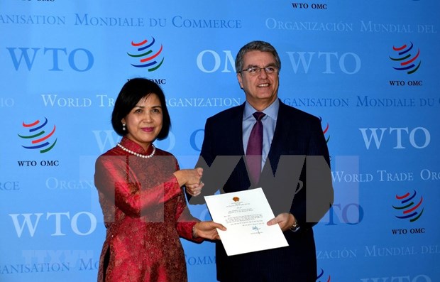 Vietnam pledges continued close coordination with WTO hinh anh 1