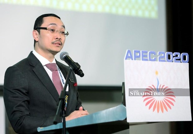 APEC-Post 2020 Vision should ensure Bogor Goals: Malaysian official hinh anh 1