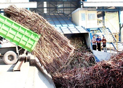 Indonesia to import 200,000 tonnes of sugar hinh anh 1