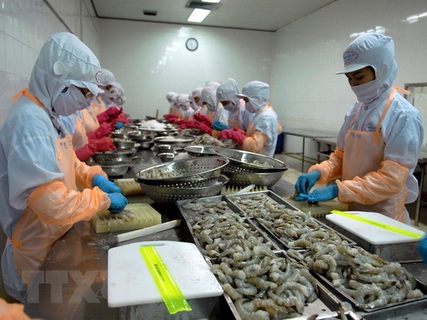 Shrimp exporters see good year ahead hinh anh 1