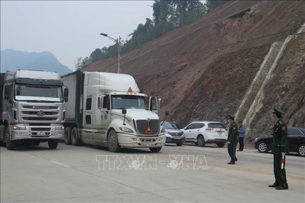 Hundreds of fruit trucks still jammed at border gates with China hinh anh 1