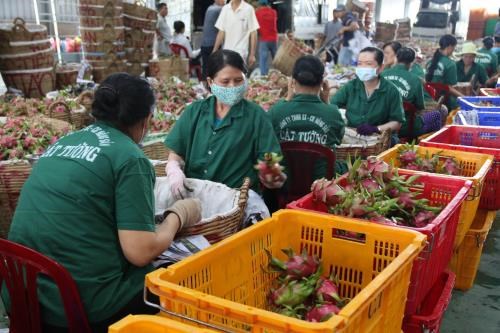 Singapore firms seek suppliers of agricultural products in Vietnam hinh anh 1