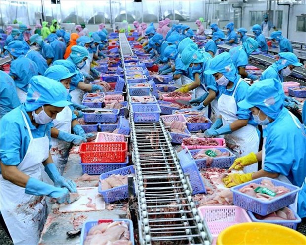 Vietnamese seafood exporters not too worried about COVID-19 hinh anh 1
