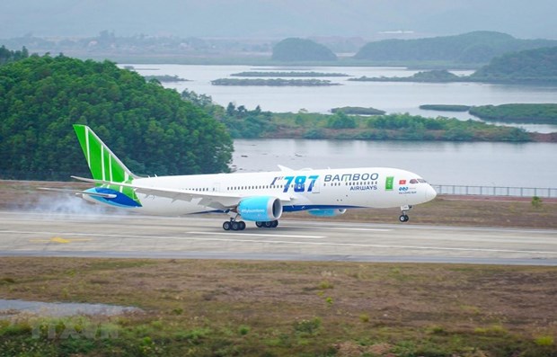 Government asked to allow Bamboo Airways’ fleet expansion hinh anh 1