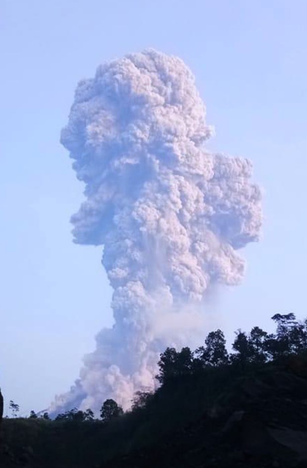 Volcanic eruption forces Indonesia airport closure hinh anh 1