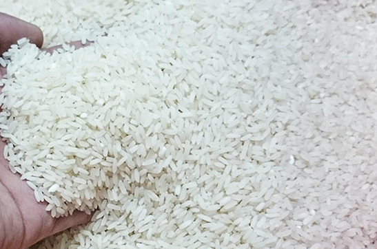 Vietnam to achieve rice export target this year hinh anh 1
