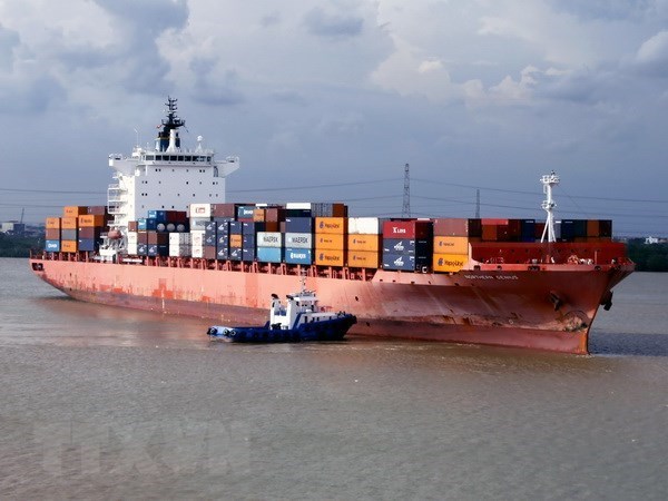 COVID-19: vessels via seaports down, cargo up 10 percent hinh anh 1