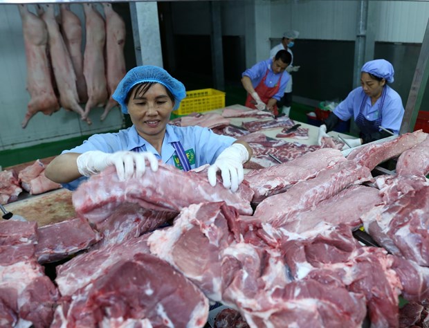 Pork imports surge in January-February hinh anh 1