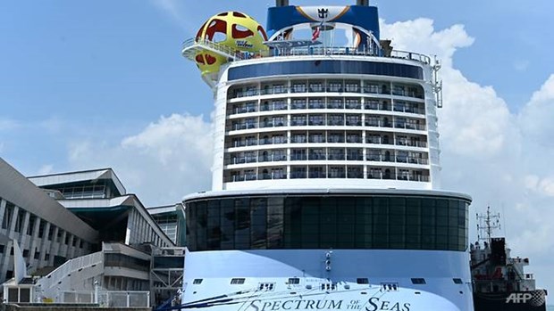 Cruise passenger traffic in Singapore down 52 percent hinh anh 1