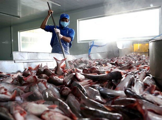 US becomes top importer of Vietnamese tra fish in February hinh anh 1