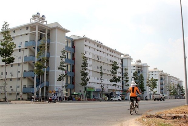 Association calls for consistent tax incentives for social housing developers hinh anh 1