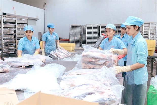 Cold storage demand surges during COVID-19 hinh anh 1