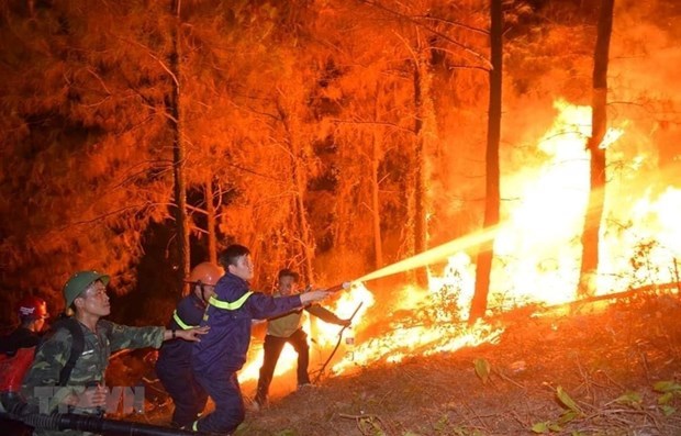 Dong Nai proactive in preventing forest fires hinh anh 1