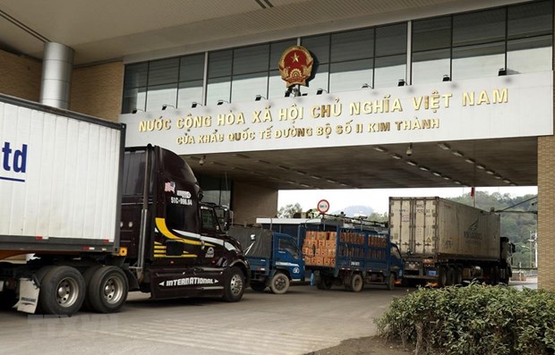 Trade ministry strives to ease difficulties for trade with China hinh anh 1