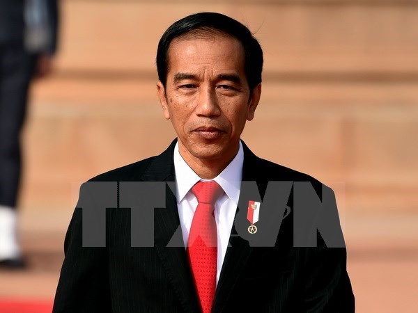 Indonesian President to join ASEAN special summits on COVID-19 hinh anh 1