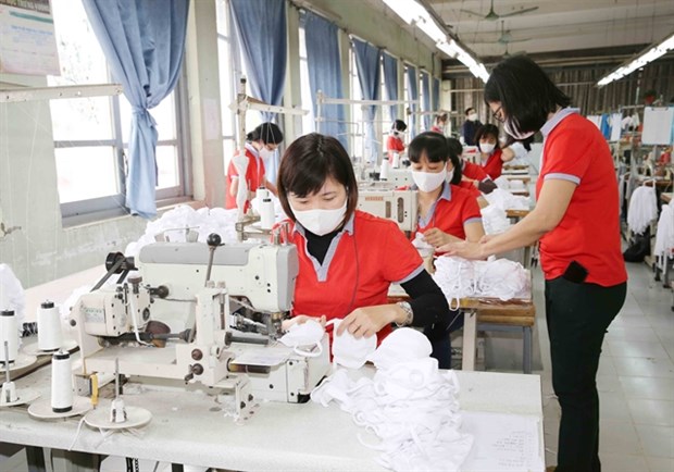 Vietnam could become world’s face mask factory amid COVID-19 hinh anh 1