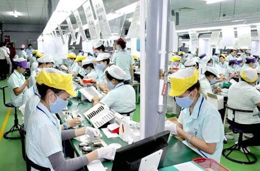 Vietnamese labourers with expired contracts in RoK entitled for 50-day extension hinh anh 1