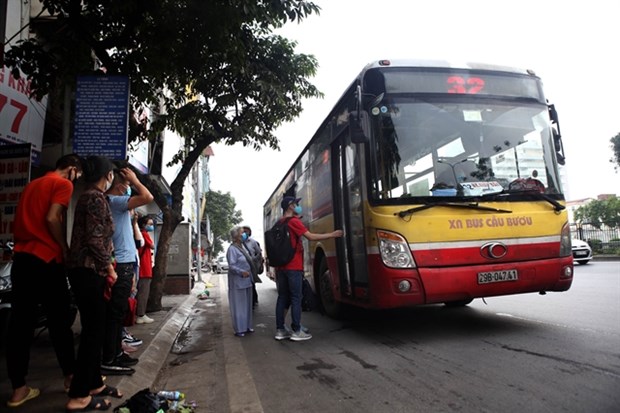 Hanoi, HCM City resume bus services hinh anh 1