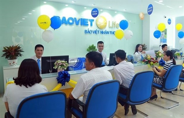Insurers record revenue increase during COVID-19 hinh anh 1