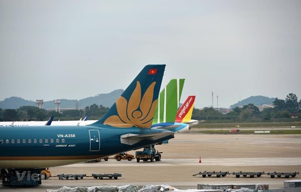 Transport ministry considers resuming several int’l flights hinh anh 1