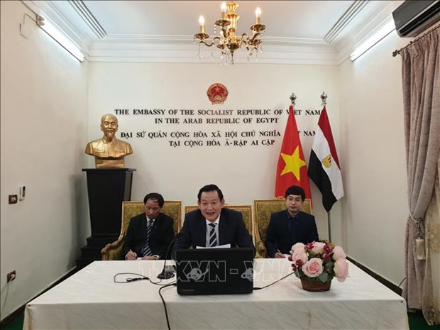Webinar on President Ho Chi Minh held in Egypt hinh anh 1