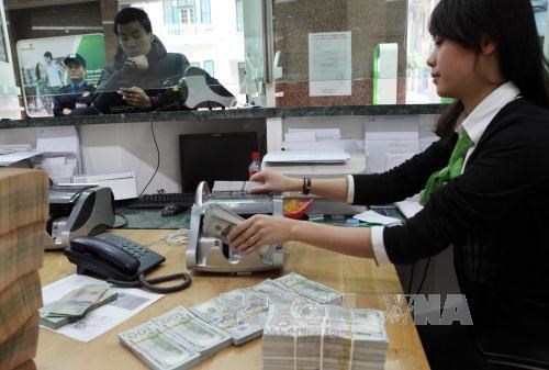 Reference exchange rate up 2 VND at week’s beginning hinh anh 1
