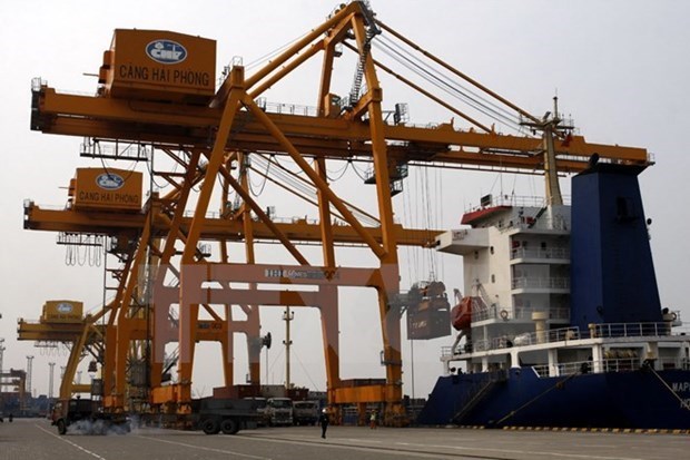 Hai Phong international terminal welcomes super-heavy vessels hinh anh 1
