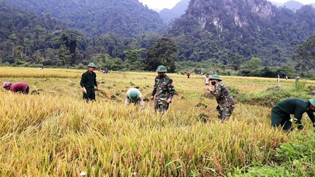 Border soldiers help improve lives for ethnic minority people hinh anh 1