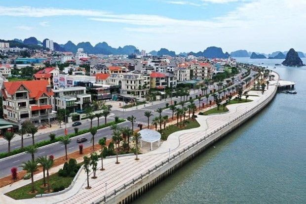 Real estate firms gear up for race after pandemic hinh anh 1