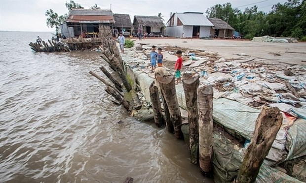 UNICEF to help Ca Mau respond to natural disasters, epidemics hinh anh 1