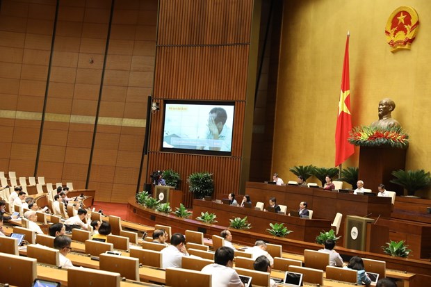 Voters urge concerted solutions to enhance protection of children hinh anh 1