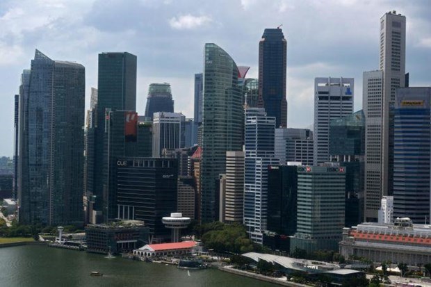 Singaporean firms hold great potential to enter Chinese market: experts hinh anh 1