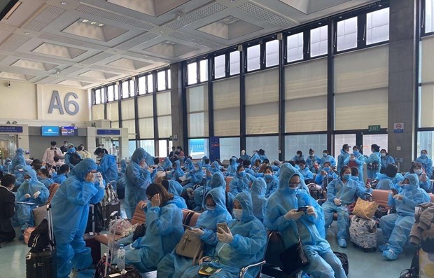 Over 340 Vietnamese citizens return from Taiwan (China) hinh anh 1