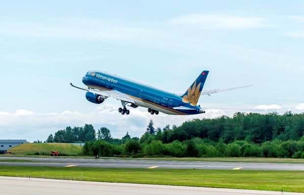 Vietnam Airlines to open six new domestic routes in June hinh anh 1