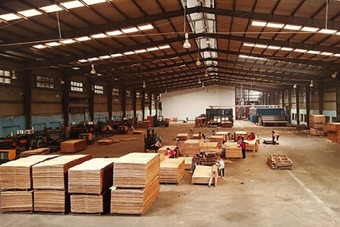 Wood product exports increase by 6 percent despite pandemic hinh anh 1