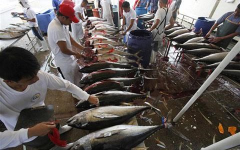 Philippines seeks World Bank’s loan to boost fisheries sector hinh anh 1