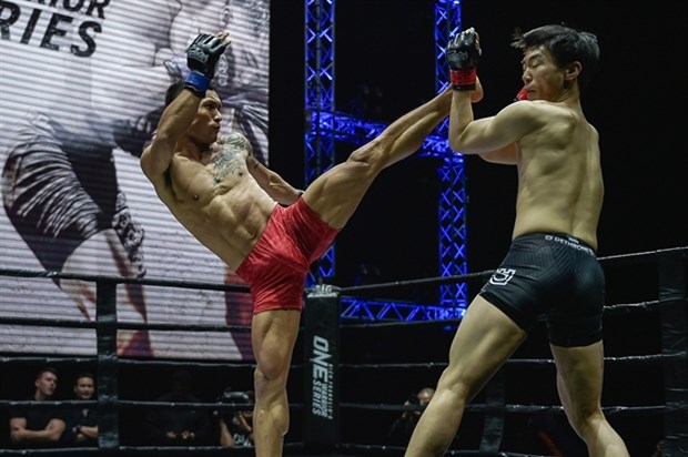 Mixed martial arts has a bright future in Vietnam hinh anh 1