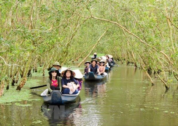 Mekong Delta's tourism firms going all out to attract more visitors hinh anh 1