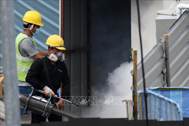 Singapore faces strong dengue fever outbreak hinh anh 1