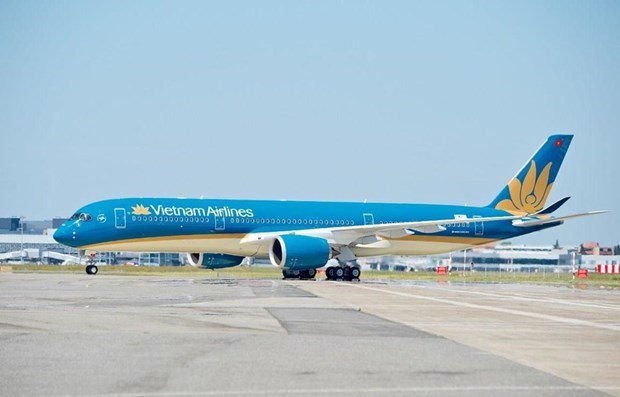 Vietnam Airlines to open two new domestic routes hinh anh 1