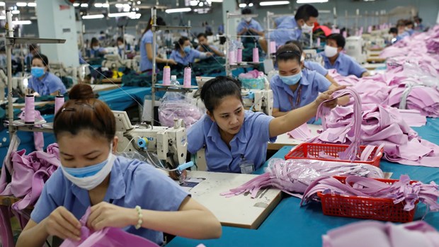 EVFTA to boost Vietnam’s economy: Japan’s newspaper hinh anh 1