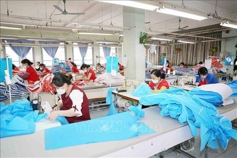 Domestic businesses urged to boost export of medical supplies hinh anh 1