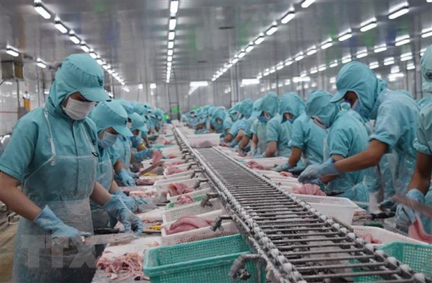 Tra fish industry strives to win over domestic consumers hinh anh 1