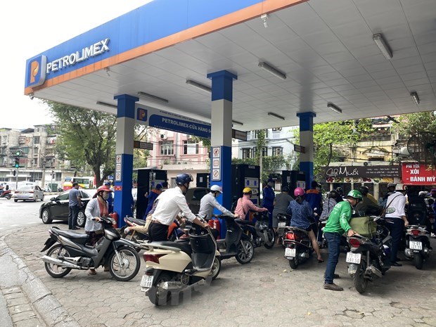 Petrol prices rise in latest review hinh anh 1