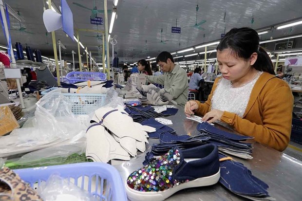 Vietnamese goods entering EU not straightforward under EVFTA hinh anh 1
