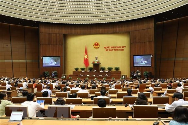 Finance Minister clarifies socio-economic, budget issues hinh anh 1