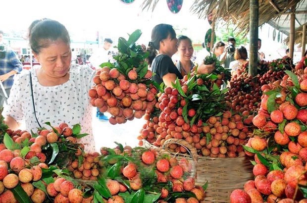 Veggie, fruit exports exceed 1.5 billion USD in first half hinh anh 1